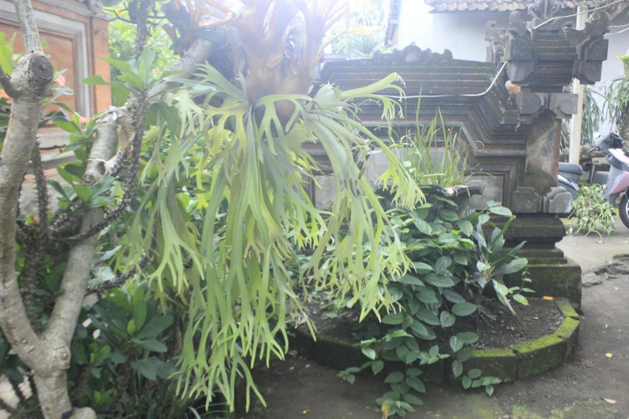 Umah De Arlika Ubud Dış mekan fotoğraf