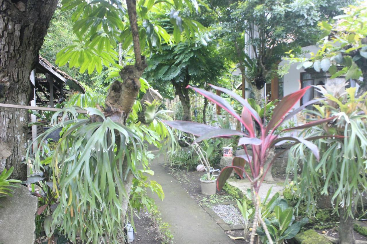 Umah De Arlika Ubud Dış mekan fotoğraf
